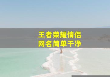 王者荣耀情侣网名简单干净,王者荣耀简短好听的情侣名字100个