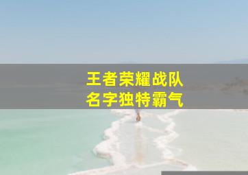 王者荣耀战队名字独特霸气,王者荣耀战队名字高雅有内涵