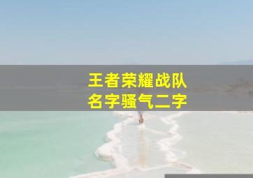 王者荣耀战队名字骚气二字,王者战队名骚气简约