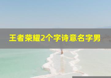 王者荣耀2个字诗意名字男,王者荣耀2个字好听的名字男