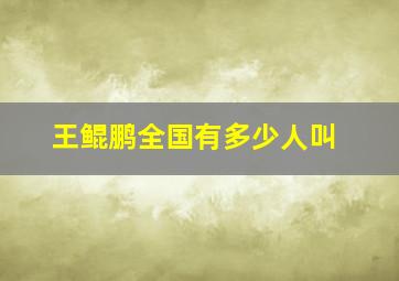 王鲲鹏全国有多少人叫,王鲲鹏 球员