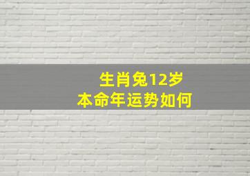 生肖兔12岁本命年运势如何,小孩12岁本命年属兔带什么好