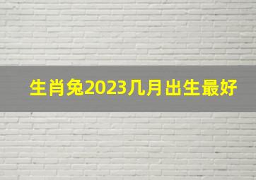 生肖兔2023几月出生最好,2023年几月份的兔宝宝最好