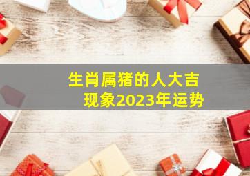 生肖属猪的人大吉现象2023年运势,2023年属相运势及运程