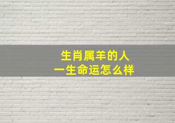 生肖属羊的人一生命运怎么样,属羊的一生命运