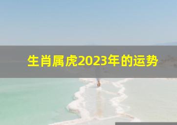 生肖属虎2023年的运势,1974年属虎2023年运程