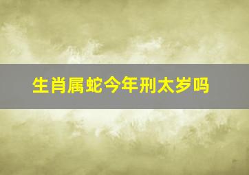 生肖属蛇今年刑太岁吗,2022年哪个生肖易犯太岁2022哪些生肖犯太岁