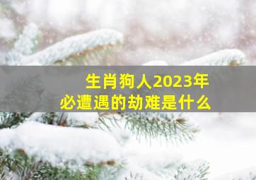 生肖狗人2023年必遭遇的劫难是什么,1982年41岁的属狗人2023年事业运剖析不太顺利