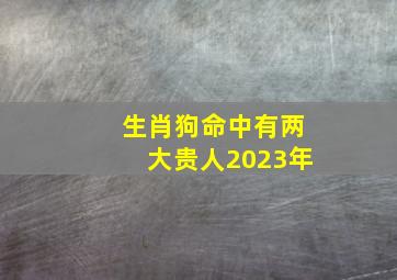 生肖狗命中有两大贵人2023年,属狗兔年运势2023年运程