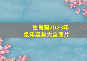 生肖狗2023年兔年运势大全图片,2023年最顺利的3大属相运势稳固过得很好