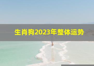 生肖狗2023年整体运势,2023年属狗人的命运