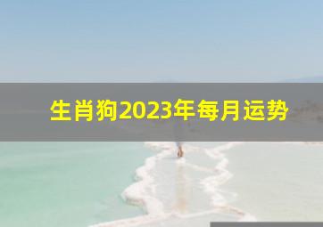 生肖狗2023年每月运势,生肖狗：18年出生的属狗人2023年全体运势运程及每月运势