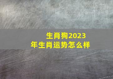 生肖狗2023年生肖运势怎么样,2023年属狗的运势和财运1982年