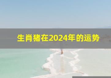 生肖猪在2024年的运势