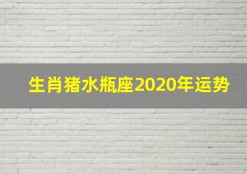 生肖猪水瓶座2020年运势,生肖属猪的是什么星座