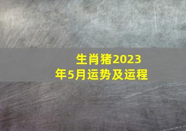 生肖猪2023年5月运势及运程,生肖猪2023年生肖运程怎么样生肖猪2023年生肖运程