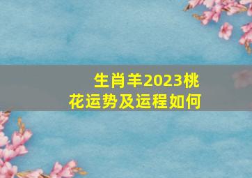 生肖羊2023桃花运势及运程如何,1991年羊人在2023年的运势怎么样