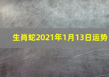 生肖蛇2021年1月13日运势,2021年1月属蛇月运一月份生肖蛇的运势分析