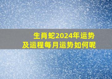 生肖蛇2024年运势及运程每月运势如何呢,属蛇的在2024年的运势好不好呢