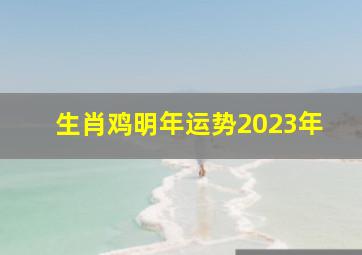 生肖鸡明年运势2023年,属鸡的2023年运势