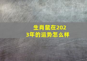 生肖鼠在2023年的运势怎么样,生肖鼠2023年运势详解生肖鼠2023年运势大全