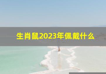 生肖鼠2023年佩戴什么,属鼠2023年运程及运势详解2023年属鼠人全年每月运势