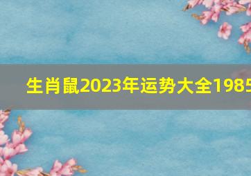 生肖鼠2023年运势大全1985,属鼠人2023年每月运势运程