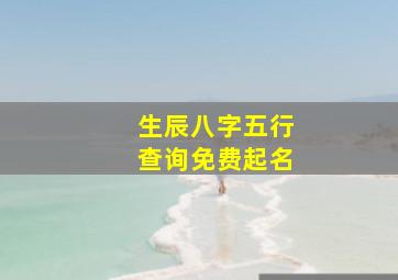 生辰八字五行查询免费起名,生辰八字五行查询 命理