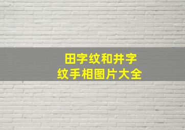 田字纹和井字纹手相图片大全,田字纹的手相