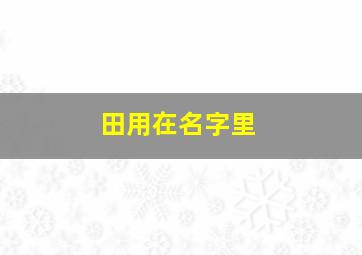 田用在名字里,用田取名字