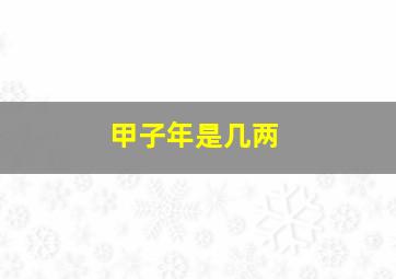 甲子年是几两,甲子年是多大岁数