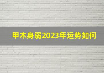 甲木身弱2023年运势如何,巨匠详解：属羊2023年全年运势运程及每月运程