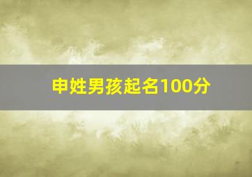 申姓男孩起名100分