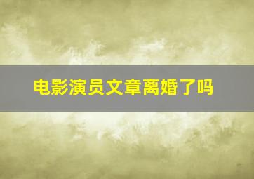 电影演员文章离婚了吗,文章离婚了吗（好友爆文章马伊琍离婚原因）