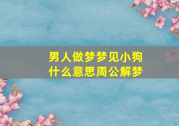 男人做梦梦见小狗什么意思周公解梦,男人梦到小狗是什么意思