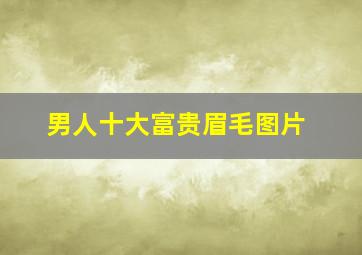 男人十大富贵眉毛图片,男人有福气的眉毛图解