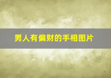 男人有偏财的手相图片,男人有偏财的手相图片高清