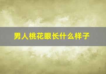 男人桃花眼长什么样子,男人桃花眼长什么样子图片