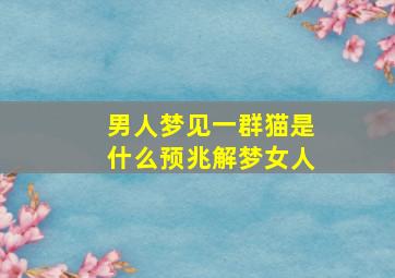 男人梦见一群猫是什么预兆解梦女人