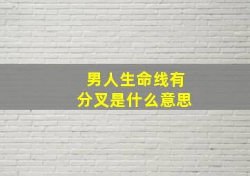 男人生命线有分叉是什么意思