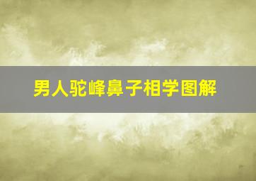 男人驼峰鼻子相学图解,驼峰鼻的男人命好不好是如何形成的