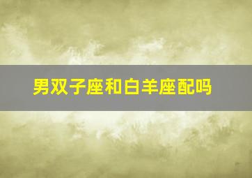 男双子座和白羊座配吗,双子男座跟白羊座配吗