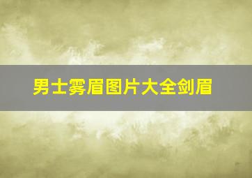 男士雾眉图片大全剑眉,男士雾眉做什么颜色