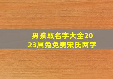 男孩取名字大全2023属兔免费宋氏两字,男孩名字2023最新版的属兔独特个性的新生儿名字