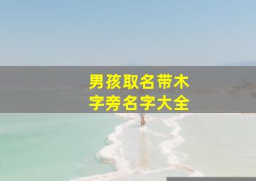 男孩取名带木字旁名字大全,男孩带木字旁的名字那个好听