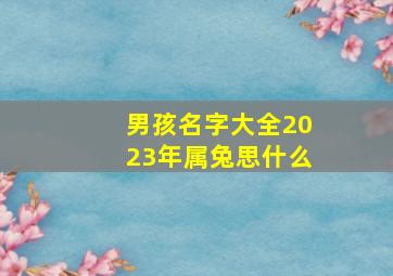 男孩名字大全2023年属兔思什么,男孩起名字2023年属兔寓意好的简单男孩名字