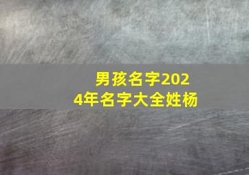 男孩名字2024年名字大全姓杨,男孩名字2024年名字大全杨