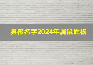 男孩名字2024年属鼠姓杨,男孩名字2024年属鼠姓杨取名