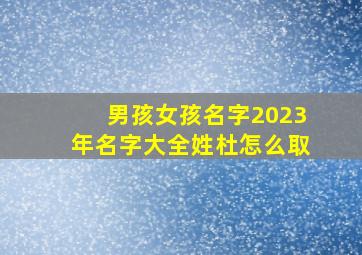 男孩女孩名字2023年名字大全姓杜怎么取,2020年杜姓男宝宝起名