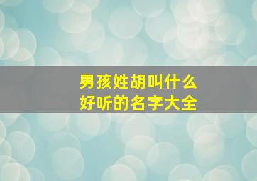 男孩姓胡叫什么好听的名字大全